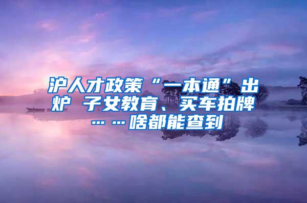 沪人才政策“一本通”出炉 子女教育、买车拍牌……啥都能查到