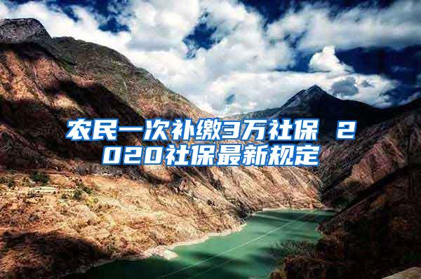 农民一次补缴3万社保 2020社保最新规定