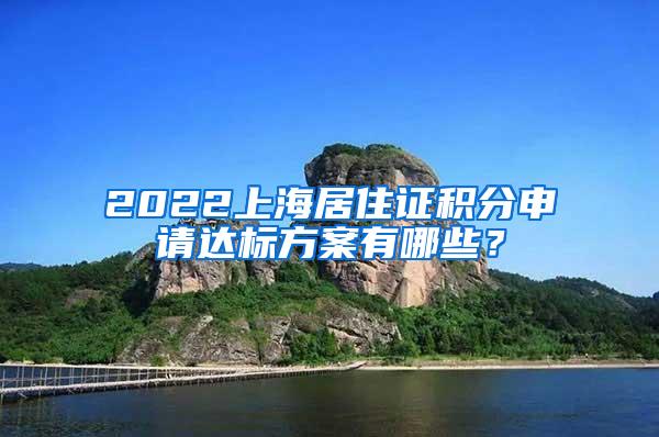 2022上海居住证积分申请达标方案有哪些？