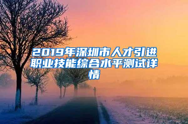 2019年深圳市人才引进职业技能综合水平测试详情