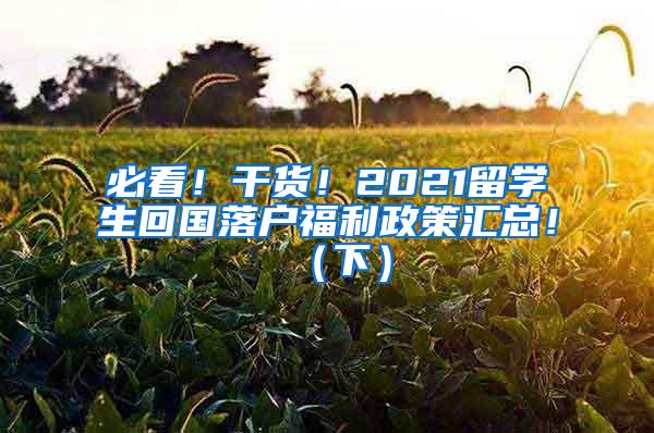 必看！干货！2021留学生回国落户福利政策汇总！（下）