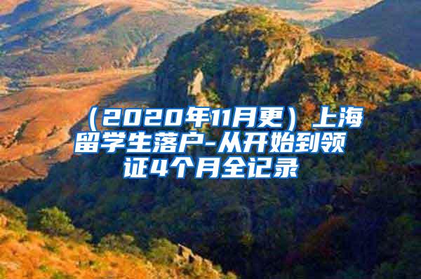 （2020年11月更）上海留学生落户-从开始到领证4个月全记录