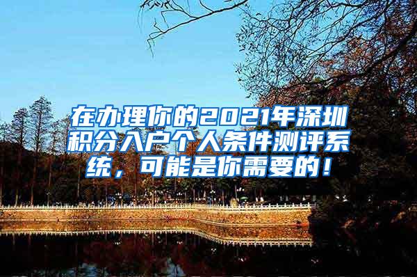 在办理你的2021年深圳积分入户个人条件测评系统，可能是你需要的！