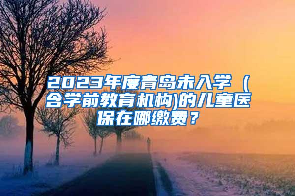 2023年度青岛未入学 (含学前教育机构)的儿童医保在哪缴费？