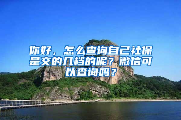 你好，怎么查询自己社保是交的几档的呢？微信可以查询吗？