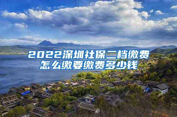 2022深圳社保二档缴费怎么缴要缴费多少钱