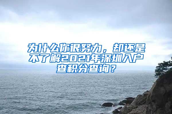 为什么你很努力，却还是不了解2021年深圳入户查积分查询？