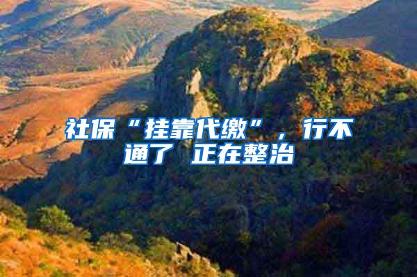 社保“挂靠代缴”，行不通了 正在整治