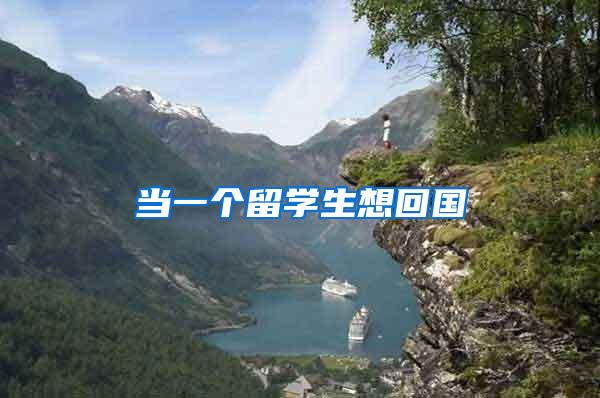 当一个留学生想回国