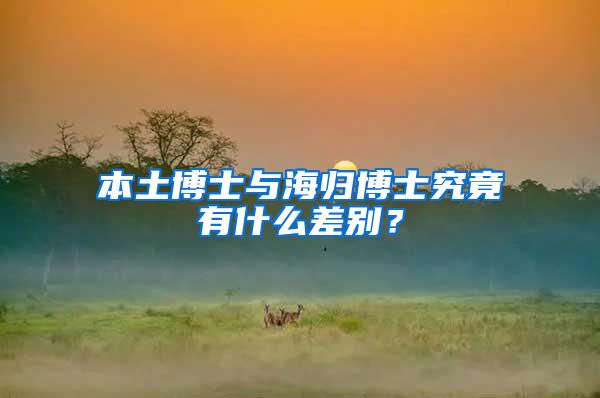 本土博士与海归博士究竟有什么差别？