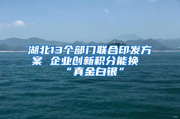 湖北13个部门联合印发方案 企业创新积分能换“真金白银”