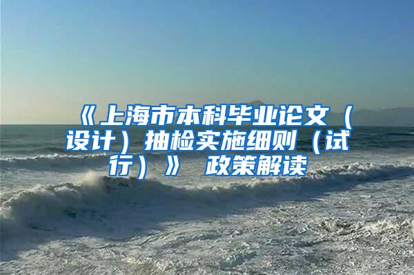 《上海市本科毕业论文（设计）抽检实施细则（试行）》 政策解读