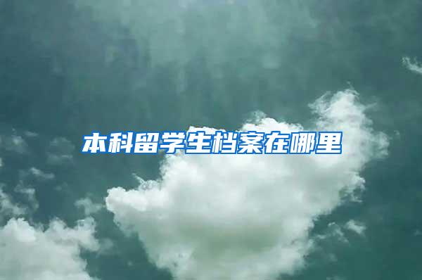 本科留学生档案在哪里
