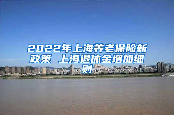 2022年上海养老保险新政策 上海退休金增加细则