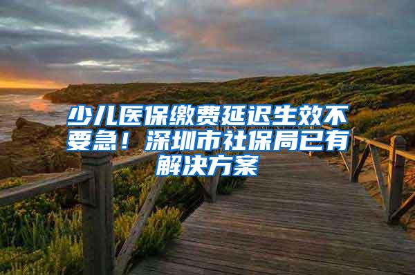 少儿医保缴费延迟生效不要急！深圳市社保局已有解决方案