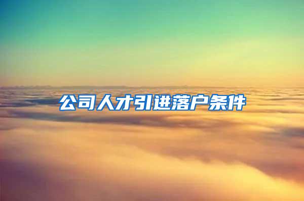 公司人才引进落户条件
