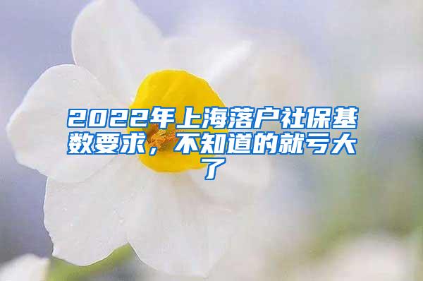 2022年上海落户社保基数要求，不知道的就亏大了