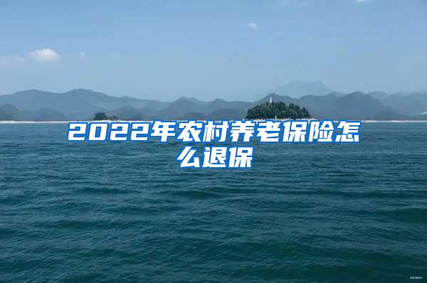 2022年农村养老保险怎么退保