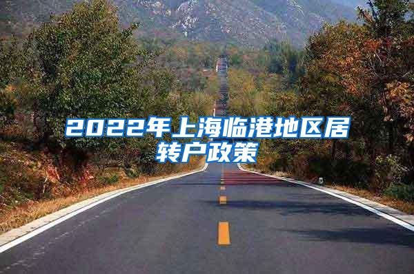 2022年上海临港地区居转户政策