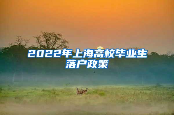 2022年上海高校毕业生落户政策