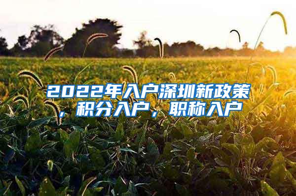 2022年入户深圳新政策，积分入户，职称入户