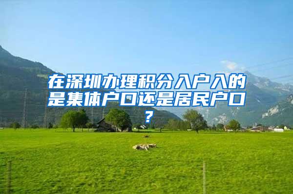 在深圳办理积分入户入的是集体户口还是居民户口？