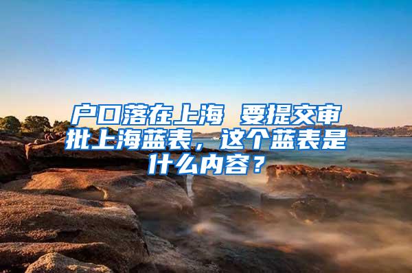 户口落在上海 要提交审批上海蓝表，这个蓝表是什么内容？