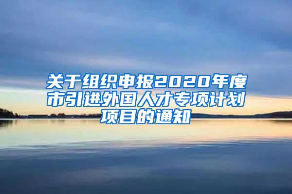 关于组织申报2020年度市引进外国人才专项计划项目的通知