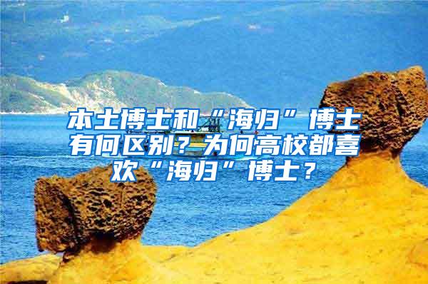 本土博士和“海归”博士有何区别？为何高校都喜欢“海归”博士？