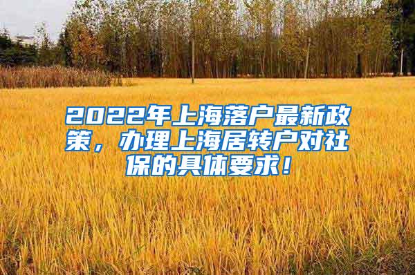 2022年上海落户最新政策，办理上海居转户对社保的具体要求！