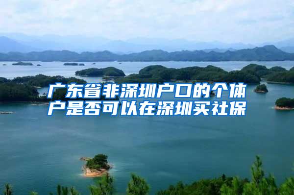 广东省非深圳户口的个体户是否可以在深圳买社保