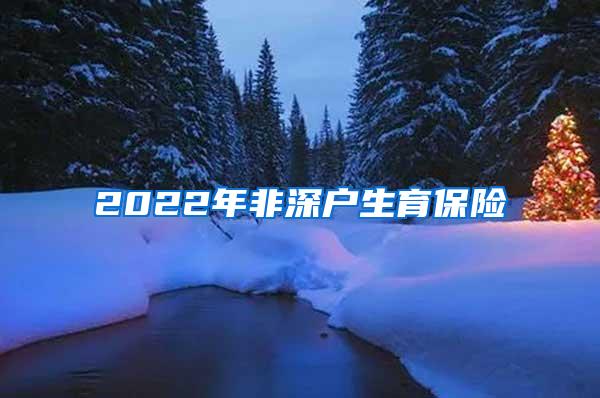 2022年非深户生育保险