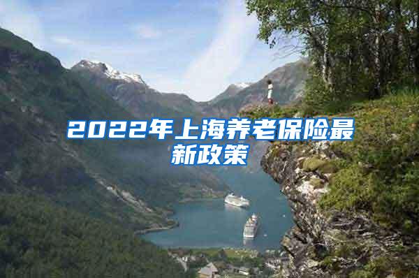 2022年上海养老保险最新政策