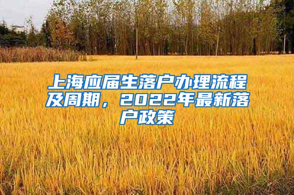 上海应届生落户办理流程及周期，2022年最新落户政策