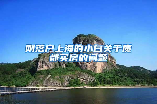 刚落户上海的小白关于魔都买房的问题