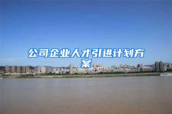 公司企业人才引进计划方案