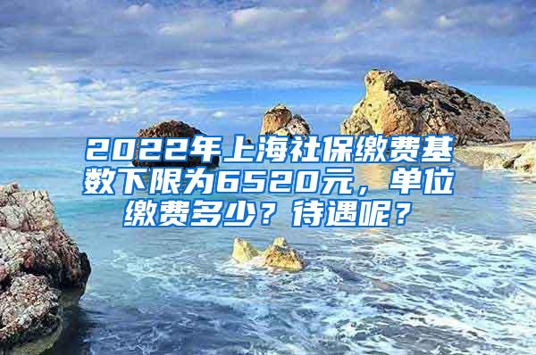 2022年上海社保缴费基数下限为6520元，单位缴费多少？待遇呢？