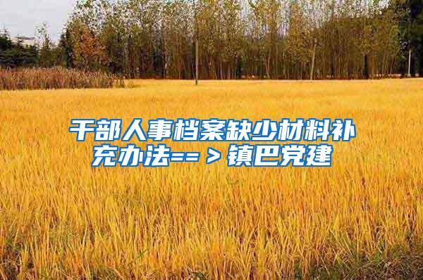 干部人事档案缺少材料补充办法==＞镇巴党建