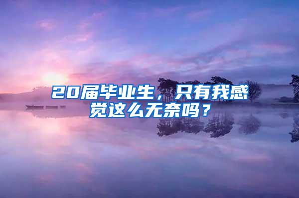 20届毕业生，只有我感觉这么无奈吗？