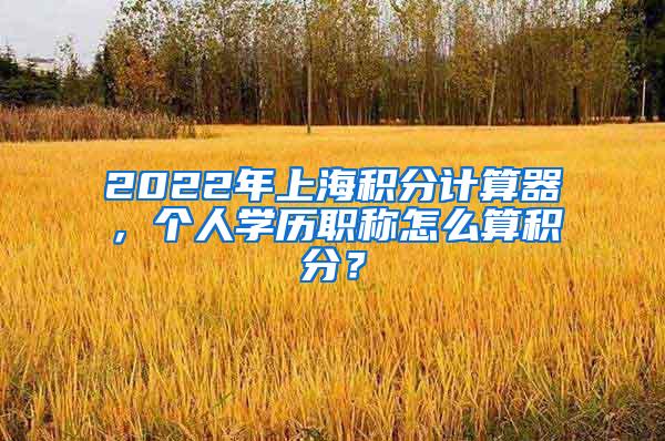 2022年上海积分计算器，个人学历职称怎么算积分？