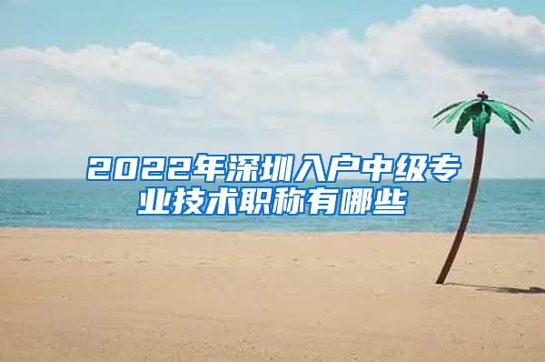 2022年深圳入户中级专业技术职称有哪些