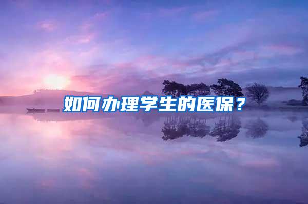 如何办理学生的医保？