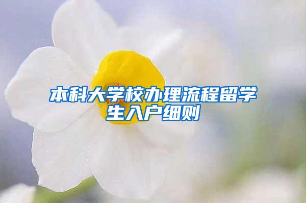 本科大学校办理流程留学生入户细则