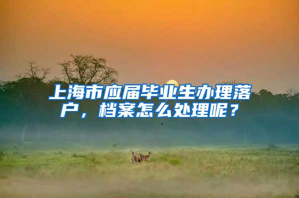 上海市应届毕业生办理落户，档案怎么处理呢？