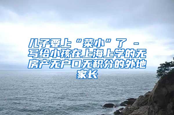 儿子要上“菜小”了 - 写给小孩在上海上学的无房产无户口无积分的外地家长