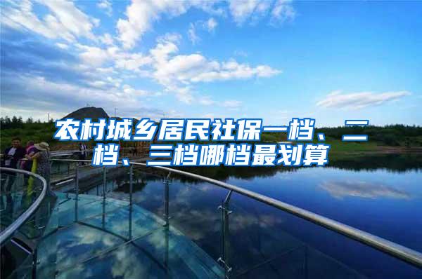 农村城乡居民社保一档、二档、三档哪档最划算