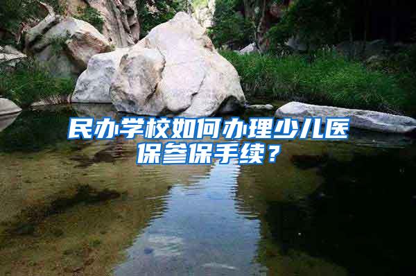 民办学校如何办理少儿医保参保手续？