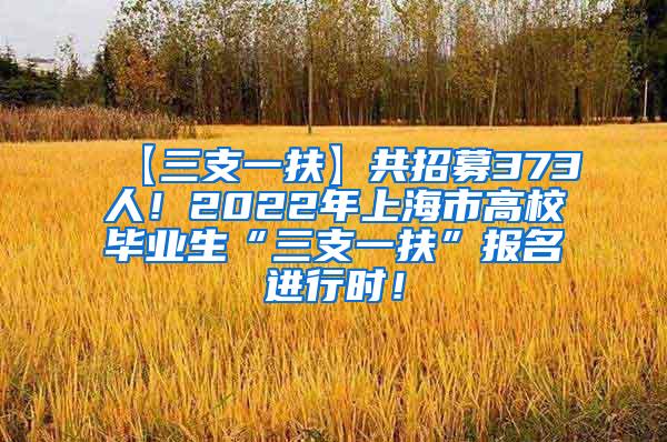 【三支一扶】共招募373人！2022年上海市高校毕业生“三支一扶”报名进行时！