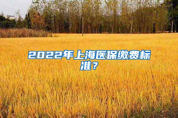 2022年上海医保缴费标准？