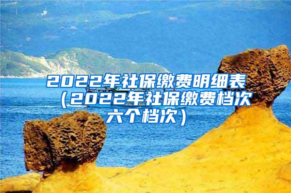 2022年社保缴费明细表（2022年社保缴费档次六个档次）